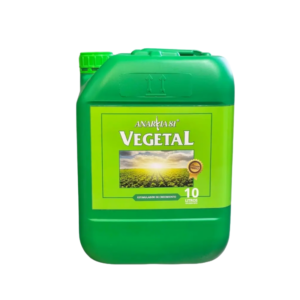 Vegetal