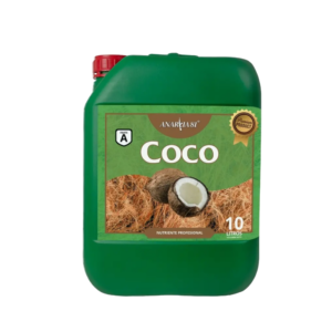 Coco A