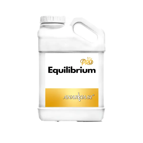 equilibrium 38