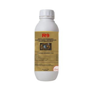 R9