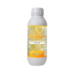 More Sugar